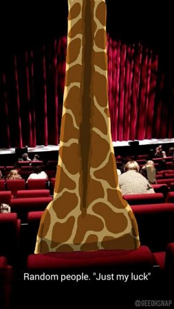 жираф в кинотеатре