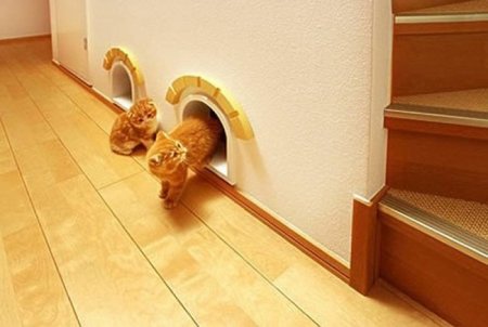 домик для котов