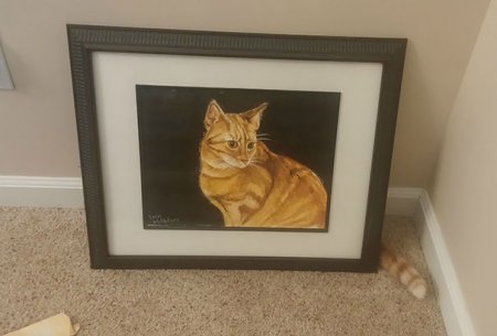 кот и картина
