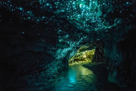 Пещеры светлячков, Новая Зеландия