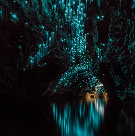 светящиеся пещеры