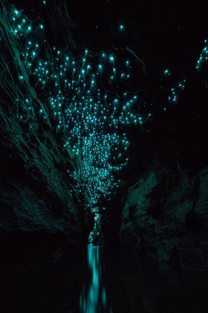 светящиеся пещеры